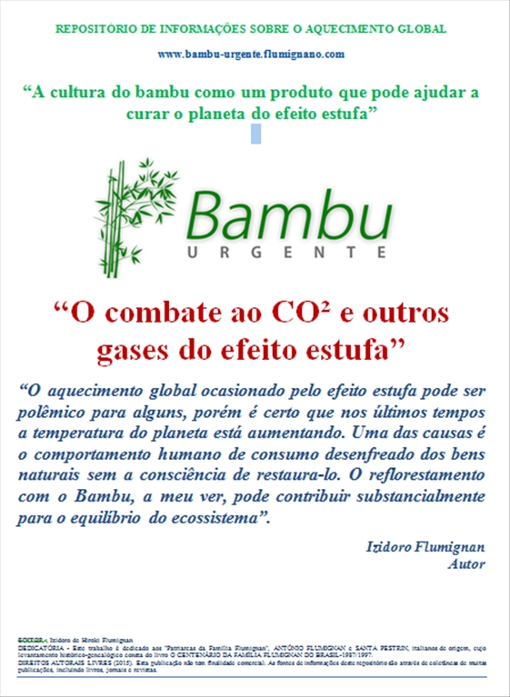CAPITULO COMBATE AO CO2